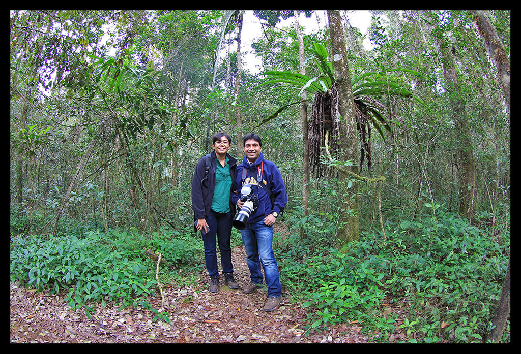 In the Andasibe forest 