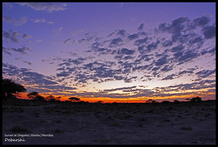 Sunset At Onguma