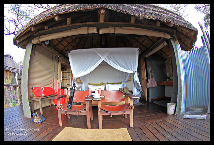 Onguma Treetop Camp - our halt for two nights