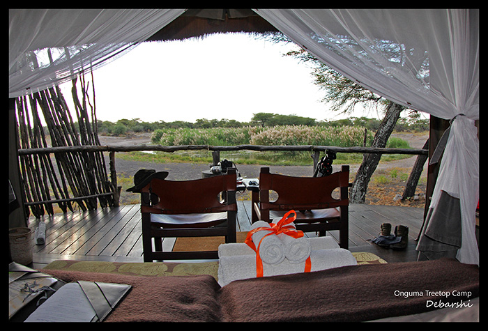 Onguma Treetop Camp facing the waterhole