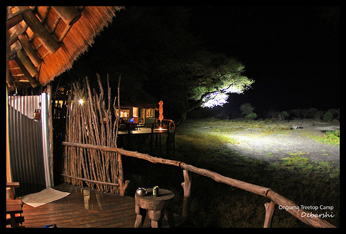 Onguma Treetop Camp The waterhole at night