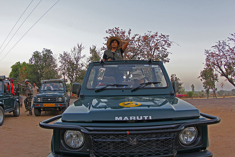 Safari Jeep in Madla Gate in Panna National Park