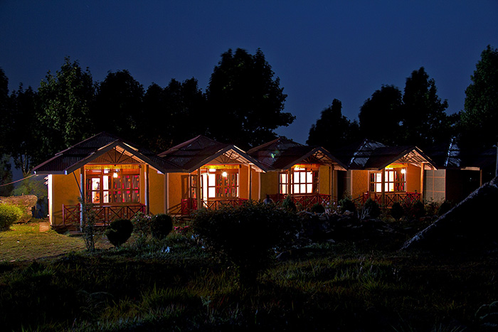 Road trips in India, blue pine retreat