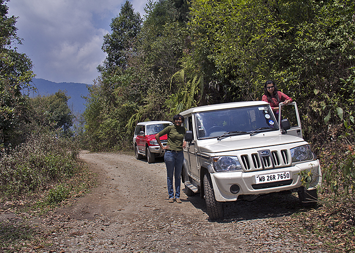 Road trips in India, neora valley