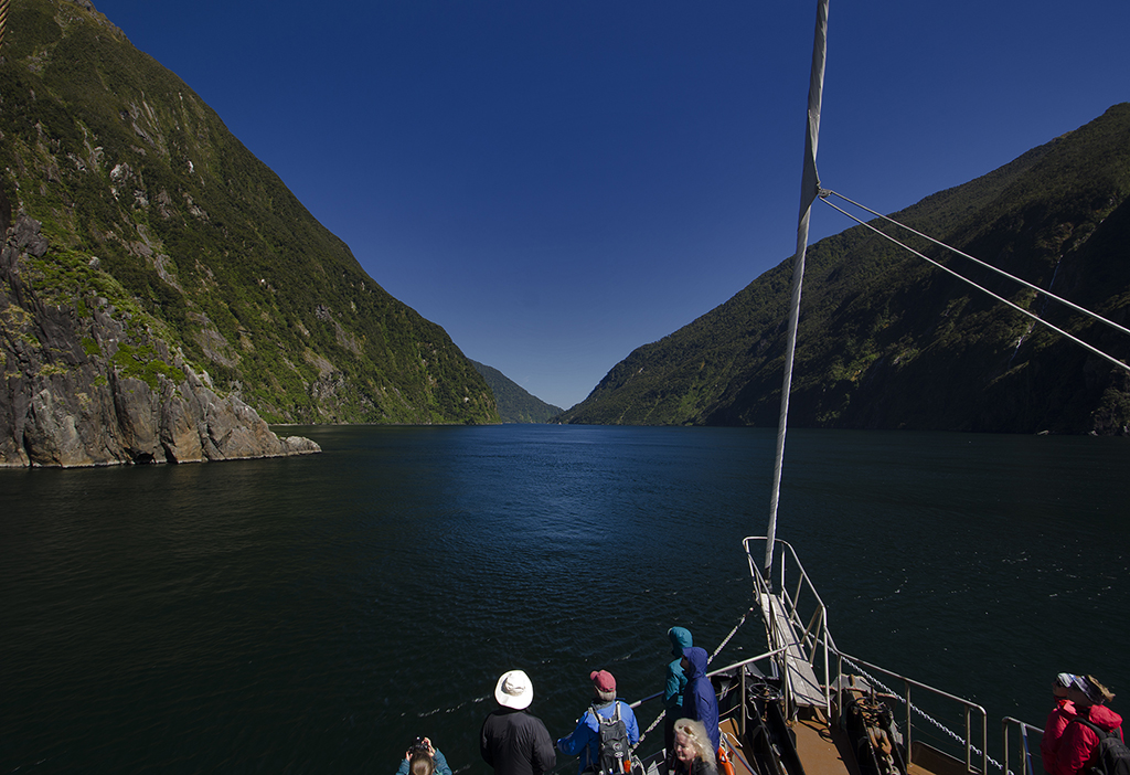 Milford Sound Cruise