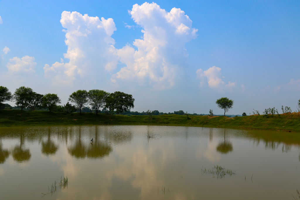 Rural Purulia Landscape