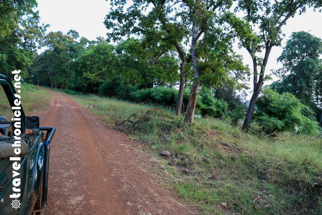 Safari Routes inside Tadoba