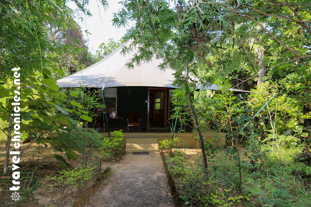 Luxury tent at Pench Jungle Camp