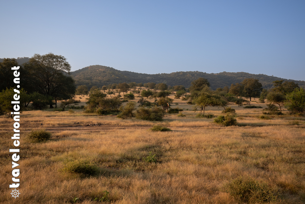 the myriad landscapes in Ranthambore
